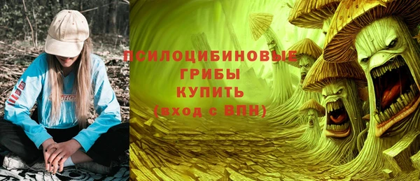 Альфа ПВП Инсар